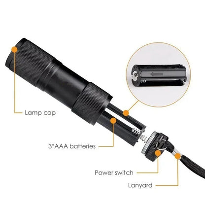 12 LED UV Torch